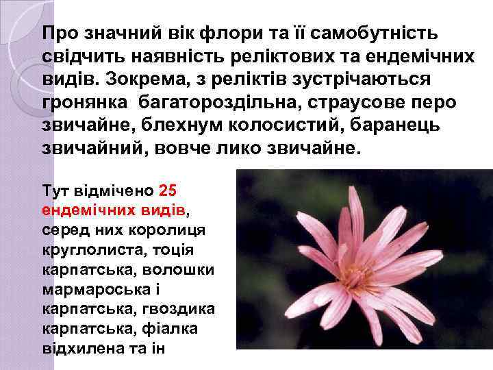 Про значний вік флори та її самобутність свідчить наявність реліктових та ендемічних видів. Зокрема,