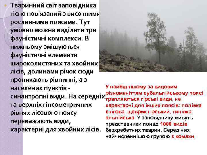  Тваринний світ заповідника тісно пов'язаний з висотними рослинними поясами. Тут умовно можна виділити