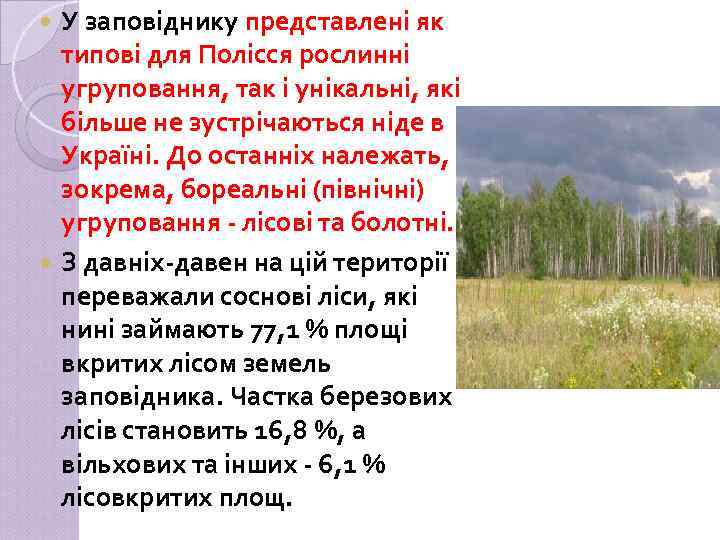 У заповіднику представлені як типові для Полісся рослинні угруповання, так і унікальні, які більше