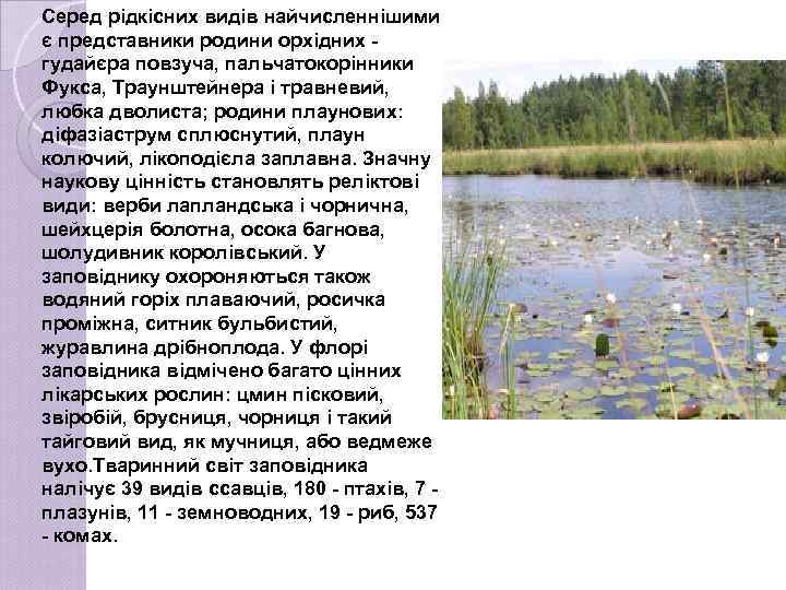 Серед рідкісних видів найчисленнішими є представники родини орхідних гудайєра повзуча, пальчатокорінники Фукса, Траунштейнера і