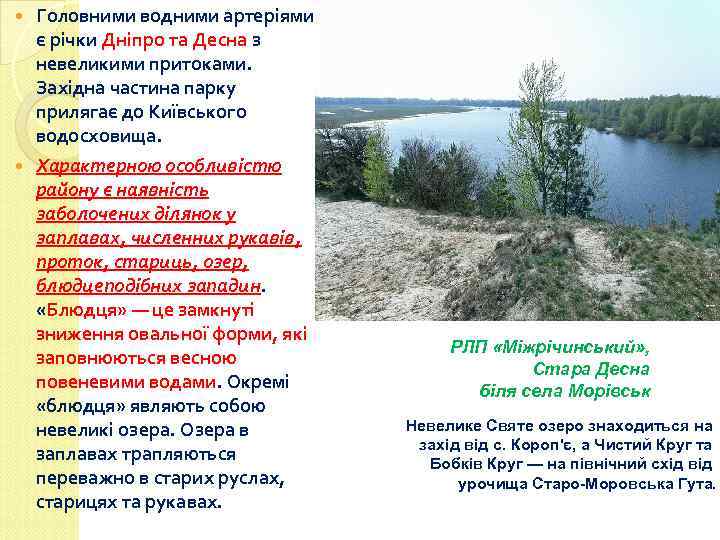 Головними водними артеріями є річки Дніпро та Десна з невеликими притоками. Західна частина парку
