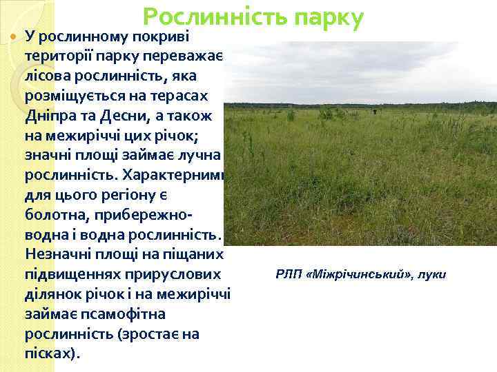  Рослинність парку У рослинному покриві території парку переважає лісова рослинність, яка розміщується на