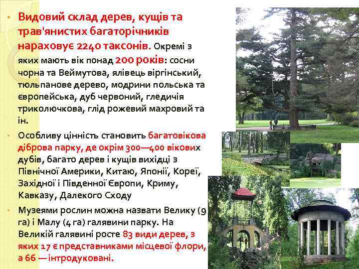  • Видовий склад дерев, кущів та трав'янистих багаторічників нараховує 2240 таксонів. Окремі з