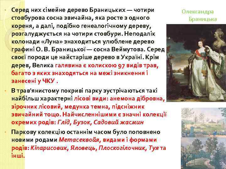 Серед них сімейне дерево Браницьких — чотири стовбурова сосна звичайна, яка росте з одного