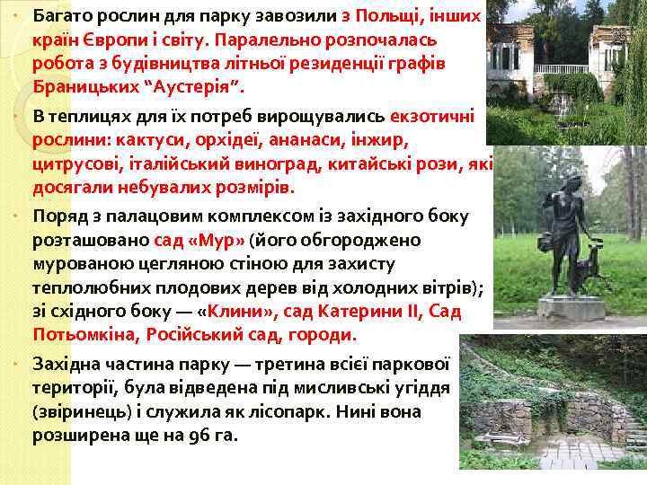 Багато рослин для парку завозили з Польщі, інших країн Європи і світу. Паралельно розпочалась