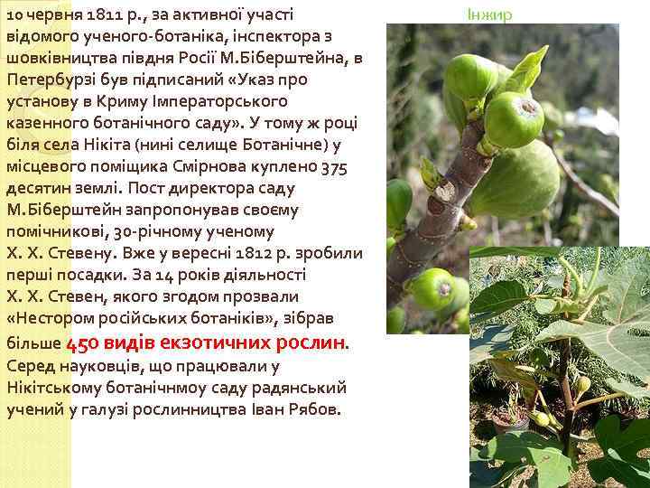 10 червня 1811 р. , за активної участі відомого ученого-ботаніка, інспектора з шовківництва півдня