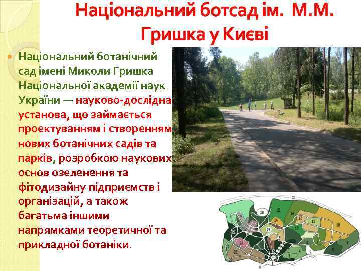 Національний ботсад ім. М. М. Гришка у Києві Національний ботанічний сад імені Миколи Гришка