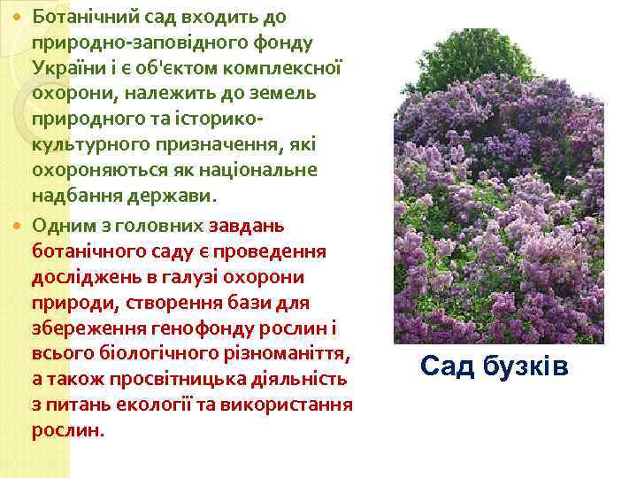 Ботанічний сад входить до природно-заповідного фонду України і є об'єктом комплексної охорони, належить до
