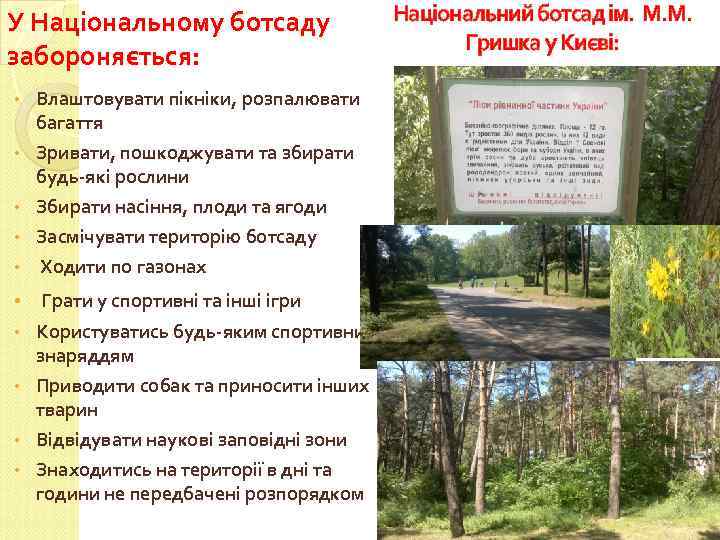 У Національному ботсаду забороняється: • Влаштовувати пікніки, розпалювати багаття Зривати, пошкоджувати та збирати будь-які