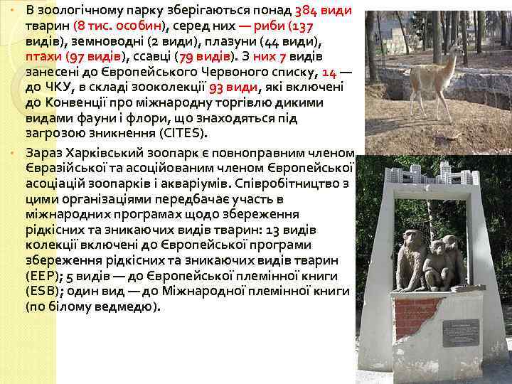 В зоологічному парку зберігаються понад 384 види тварин (8 тис. особин), серед них —