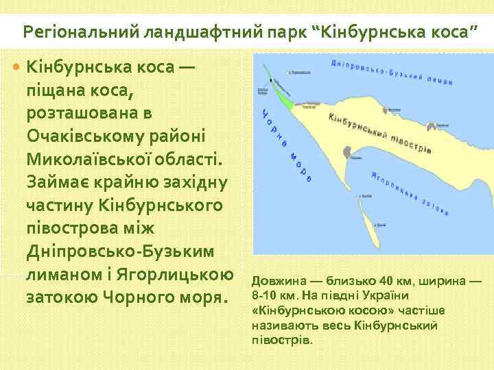 Регіональний ландшафтний парк “Кінбурнська коса” Кінбурнська коса — піщана коса, розташована в Очаківському районі