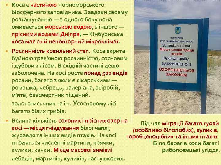  Коса є частиною Чорноморського біосферного заповідника. Завдяки своєму розташуванню — з одного боку