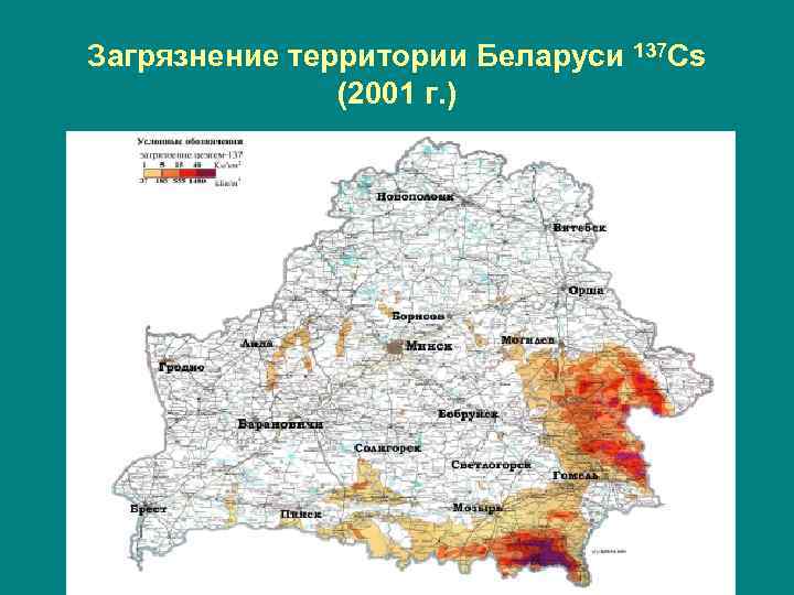 Карта беларуси радиация