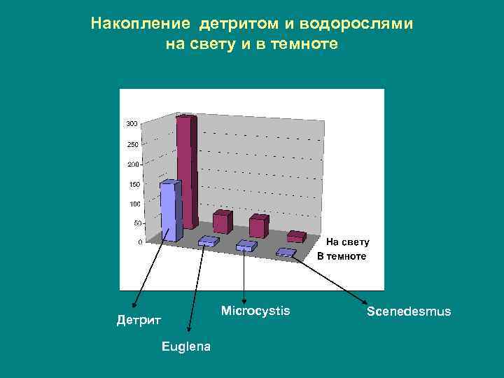 Накопление детритом и водорослями на свету и в темноте Microcystis Детрит Euglena Scenedesmus 