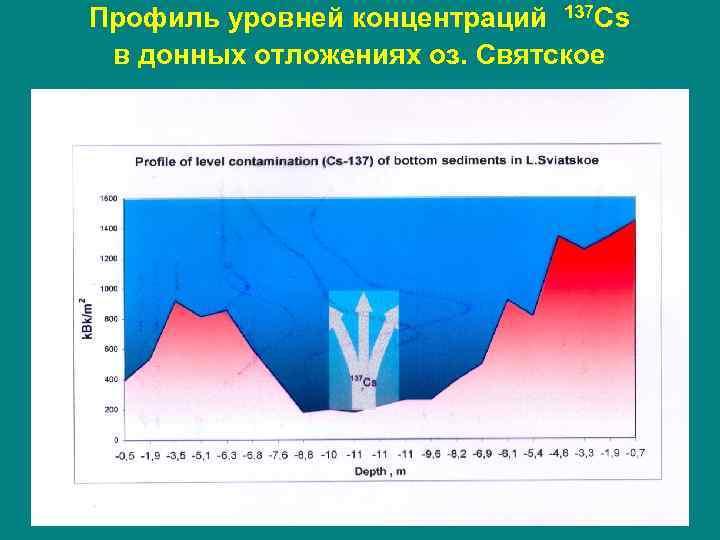 Профиль уровней концентраций 137 Cs в донных отложениях оз. Святское 