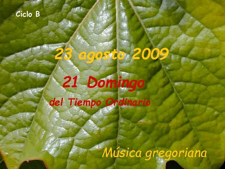 Ciclo B 23 agosto 2009 21 Domingo del Tiempo Ordinario Música gregoriana 