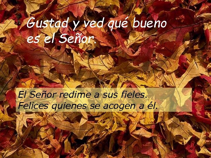 Gustad y ved qué bueno es el Señor. El Señor redime a sus fieles.