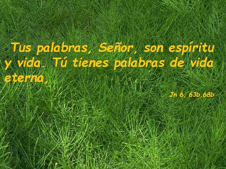 Tus palabras, Señor, son espíritu y vida. Tú tienes palabras de vida eterna, Jn