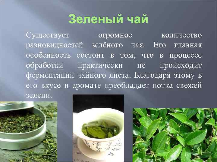 Зеленый чай текст. Сообщение о зеленом чае. Рассказ о чае. Чай для презентации. Доклад на тему зеленый чай.