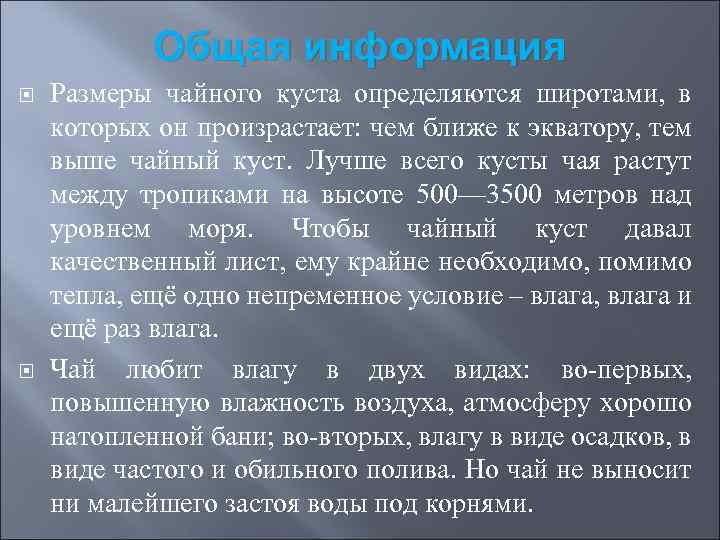 Общая информация Размеры чайного куста определяются широтами, в которых он произрастает: чем ближе к