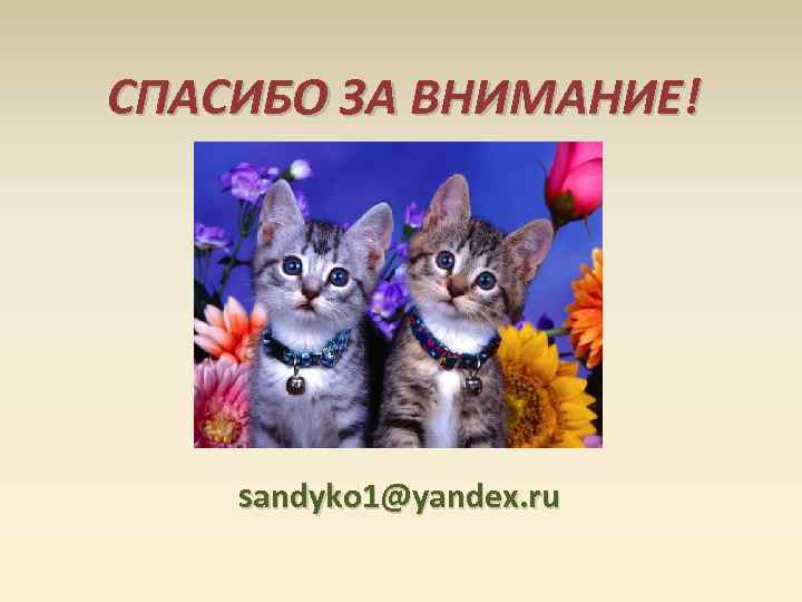 СПАСИБО ЗА ВНИМАНИЕ! sandyko 1@yandex. ru 