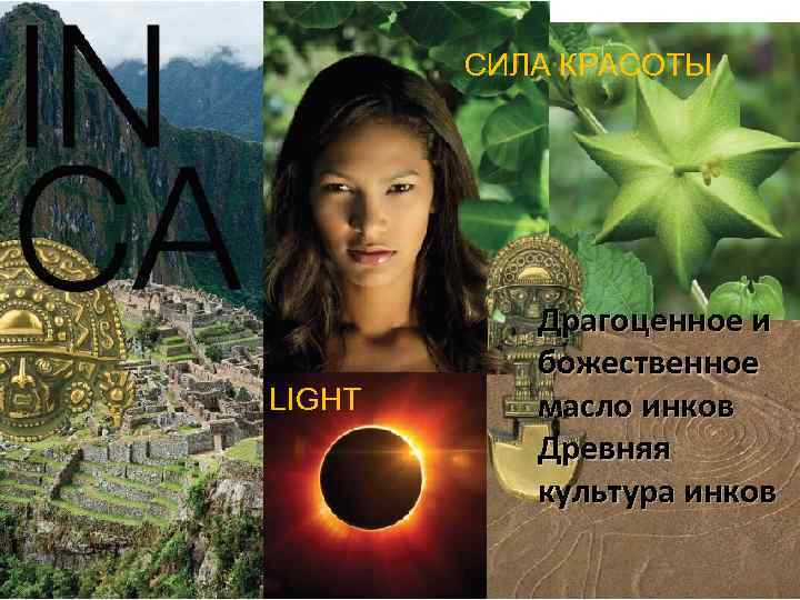 СИЛА КРАСОТЫ LIGHT Драгоценное и божественное масло инков Древняя культура инков 