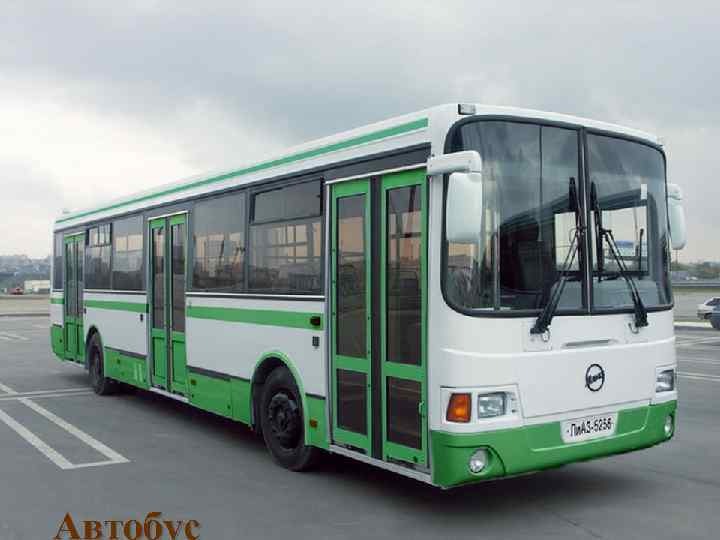 Автобус 