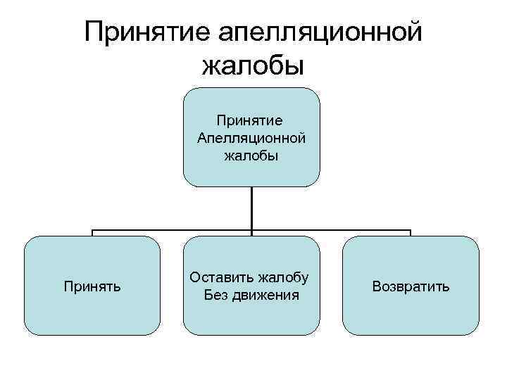 Принятие апелляционной жалобы Принятие Апелляционной жалобы Принять Оставить жалобу Без движения Возвратить 