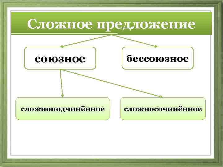 Сложное предложение союзное сложноподчинённое бессоюзное сложносочинённое 