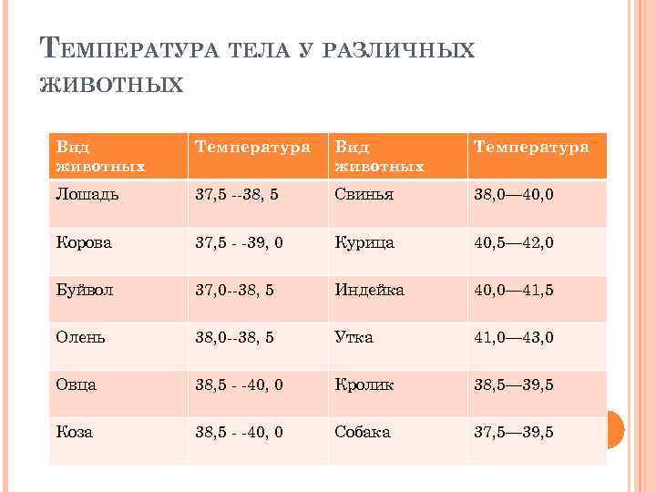 ТЕМПЕРАТУРА ТЕЛА У РАЗЛИЧНЫХ ЖИВОТНЫХ Вид животных Температура Лошадь 37, 5 38, 5 Свинья