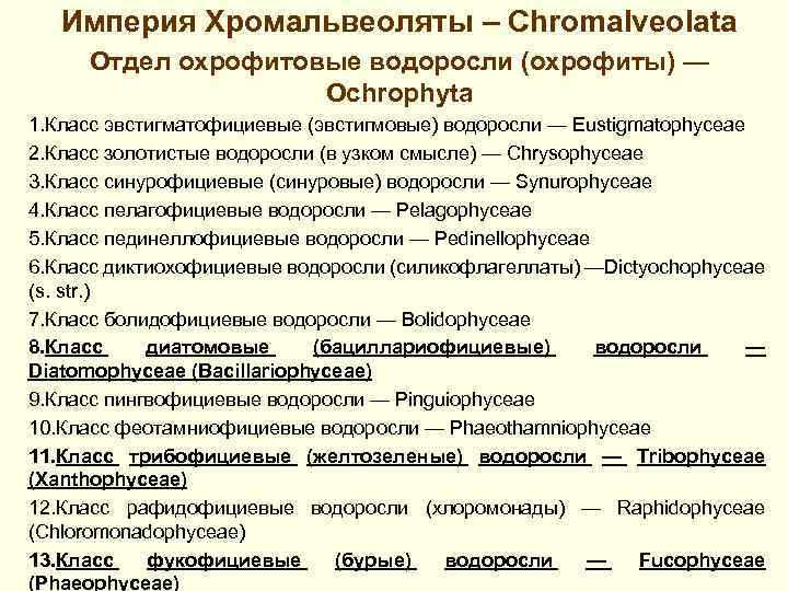Империя Хромальвеоляты – Chromalveolata Отдел охрофитовые водоросли (охрофиты) — Ochrophyta 1. Класс эвстигматофициевые (эвстигмовые)