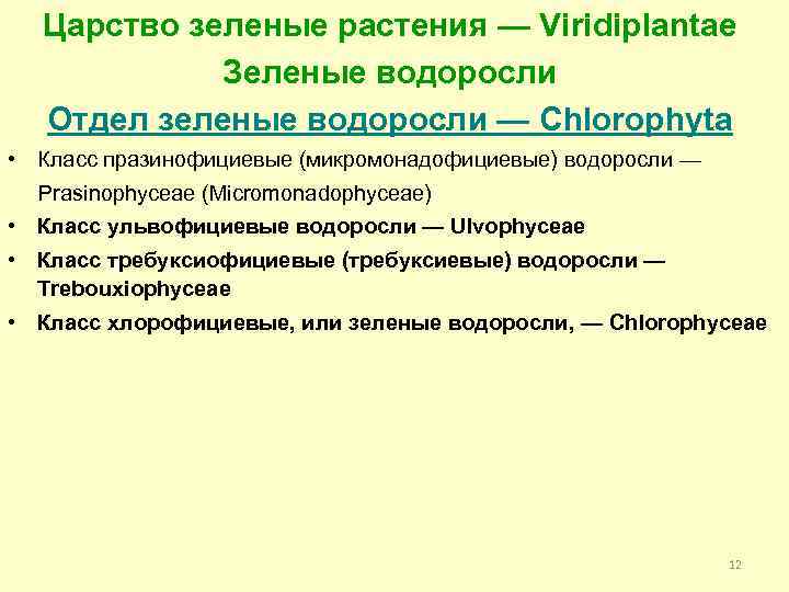 Царство зеленые растения — Viridiplantae Зеленые водоросли Отдел зеленые водоросли — Chlorophyta • Класс