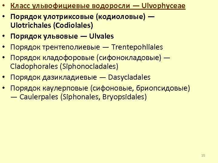  • Класс ульвофициевые водоросли — Ulvophyceae • Порядок улотриксовые (кодиоловые) — Ulotrichales (Codiolales)