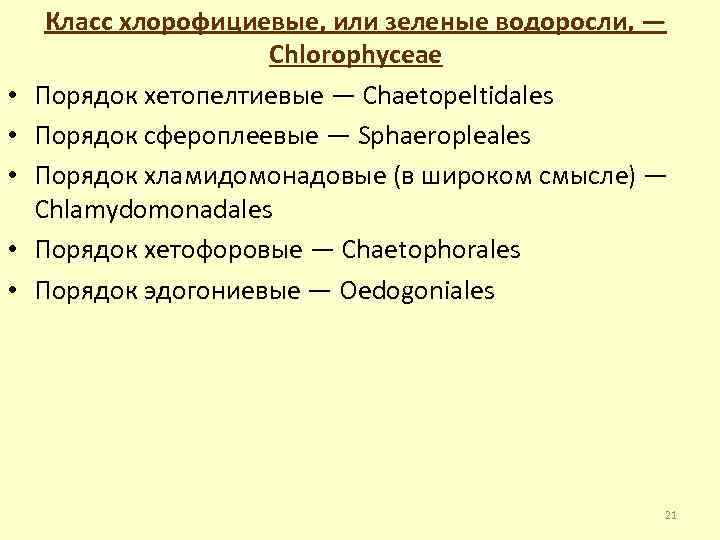  • • • Класс хлорофициевые, или зеленые водоросли, — Chlorophyceae Порядок хетопелтиевые —