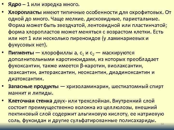  • Ядро – 1 или изредка много. • Хлоропласты имеют типичные особенности для