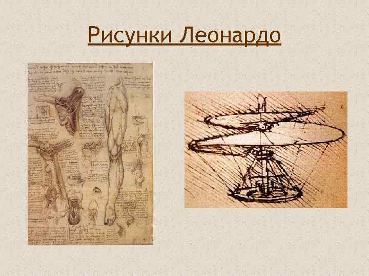 Рисунки Леонардо 
