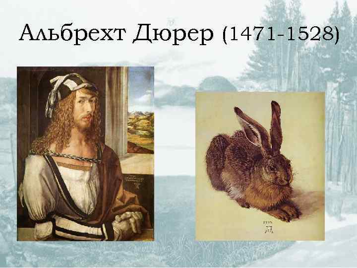 Альбрехт Дюрер (1471 -1528) 
