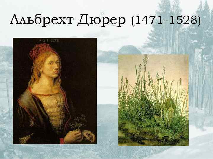 Альбрехт Дюрер (1471 -1528) 