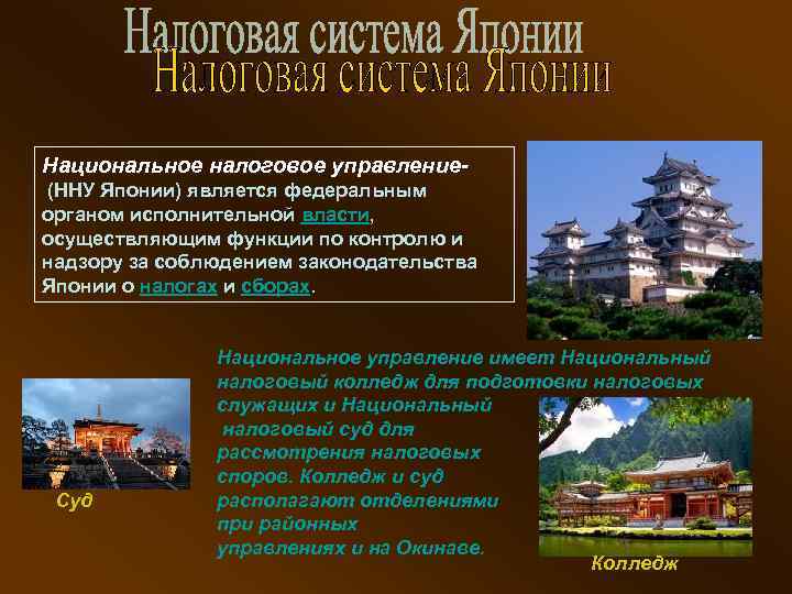 Национальное налоговое управление (ННУ Японии) является федеральным органом исполнительной власти, осуществляющим функции по контролю