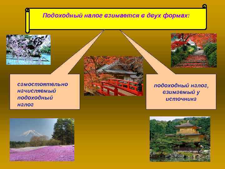 Подоходный налог взимается в двух формах: самостоятельно начисляемый подоходный налог, взимаемый у источника 