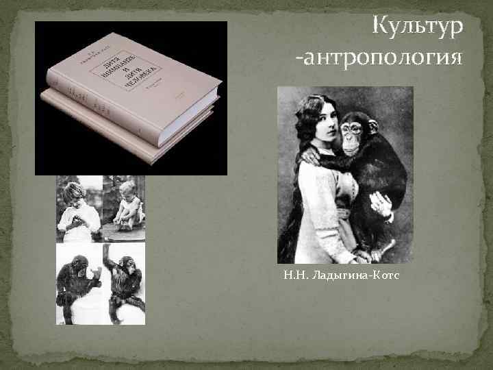 Культур -антропология Н. Н. Ладыгина-Котс 