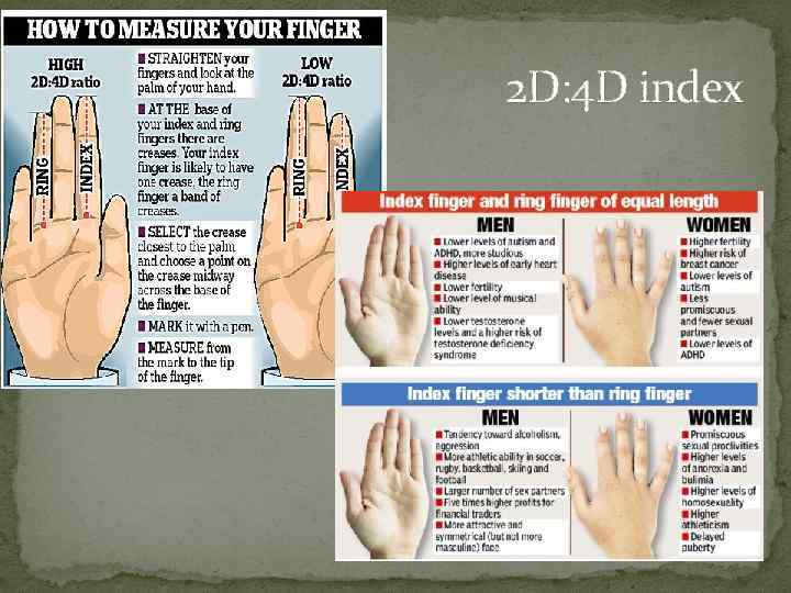 2 D: 4 D index 