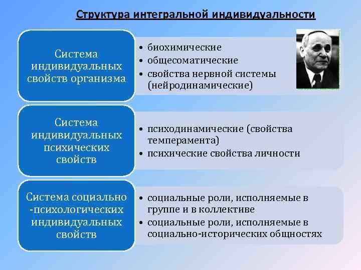 Структура интегральной индивидуальности Система индивидуальных свойств организма Система индивидуальных психических свойств • биохимические •