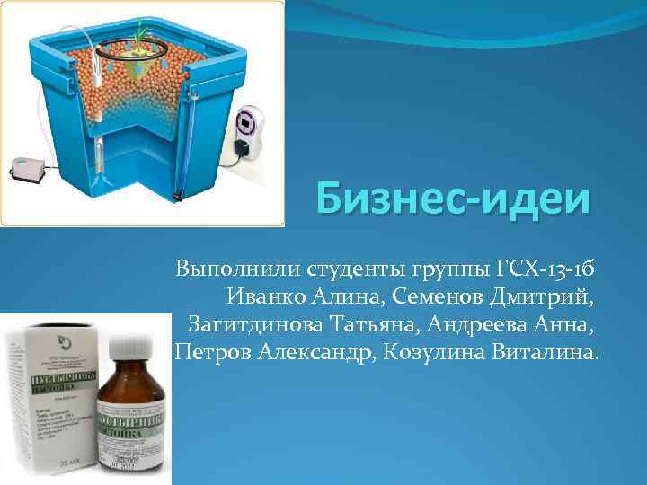 Бизнес-идеи Выполнили студенты группы ГСХ-13 -1 б Иванко Алина, Семенов Дмитрий, Загитдинова Татьяна, Андреева