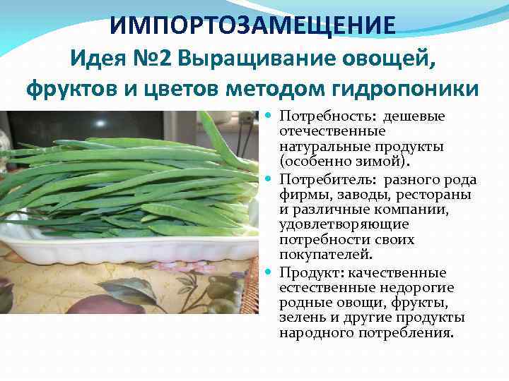 ИМПОРТОЗАМЕЩЕНИЕ Идея № 2 Выращивание овощей, фруктов и цветов методом гидропоники Потребность: дешевые отечественные