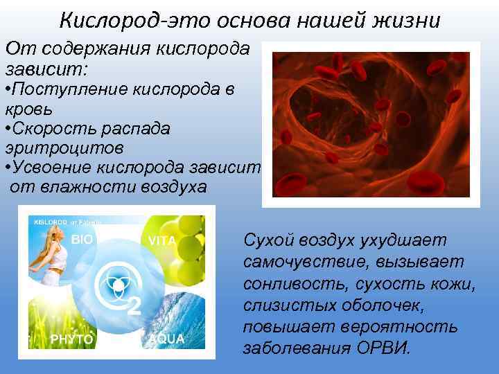 Кислород-это основа нашей жизни От содержания кислорода зависит: • Поступление кислорода в кровь •