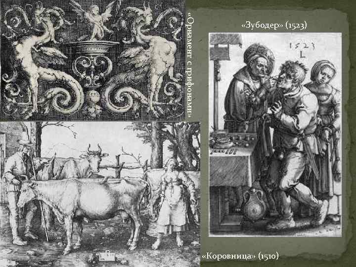  «Орнамент с грифонами» «Зубодер» (1523) «Коровница» (1510) 