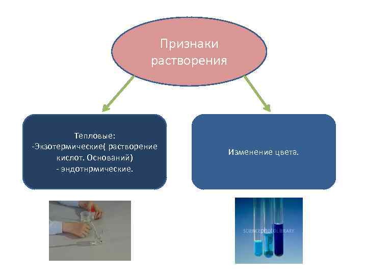 Признаки растворения Тепловые: -Экзотермические( растворение кислот. Оснований) - эндотнрмические. Изменение цвета. 