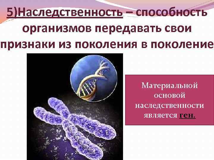 Какие свойства живых систем отображены на серии рисунков 1 5 раздражимость и самовоспроизведение