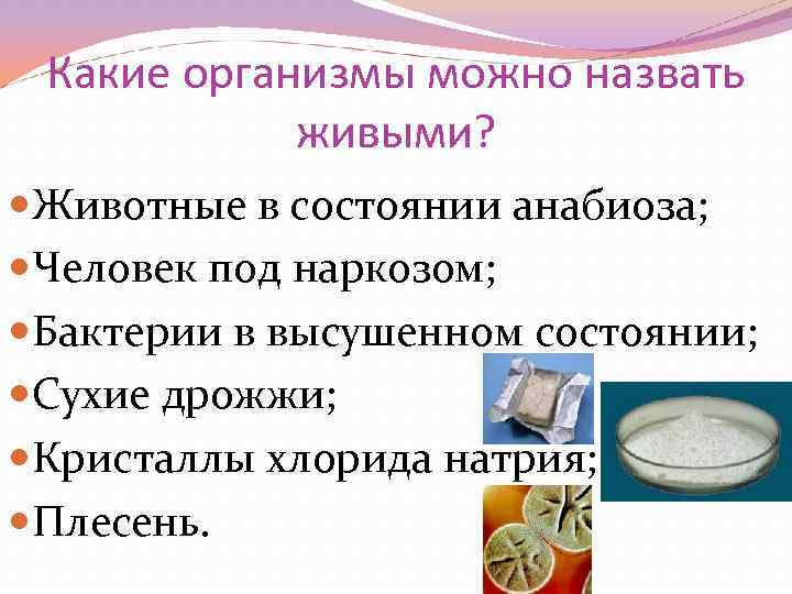 Какие свойства живых систем отображены на серии рисунков 1 5 раздражимость и самовоспроизведение